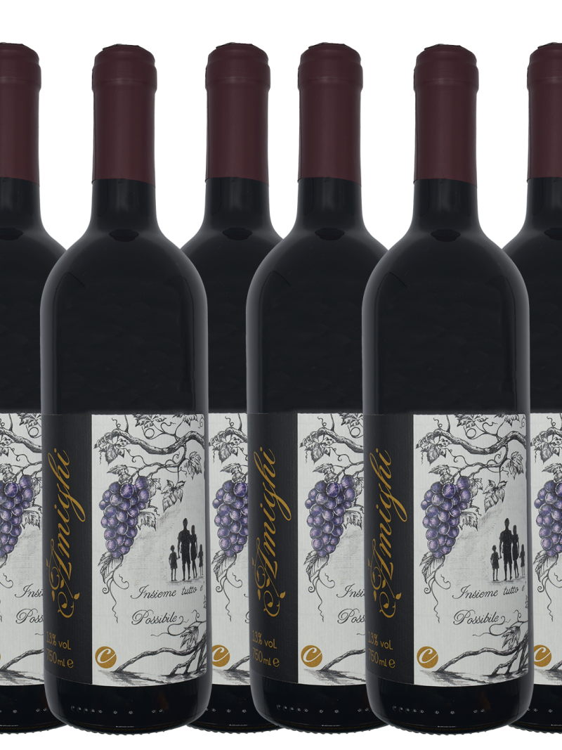 Box 6 bottiglie di Vino Naturale Veneto "Amighi" ottenuto da uvaggi Cabernet Franc