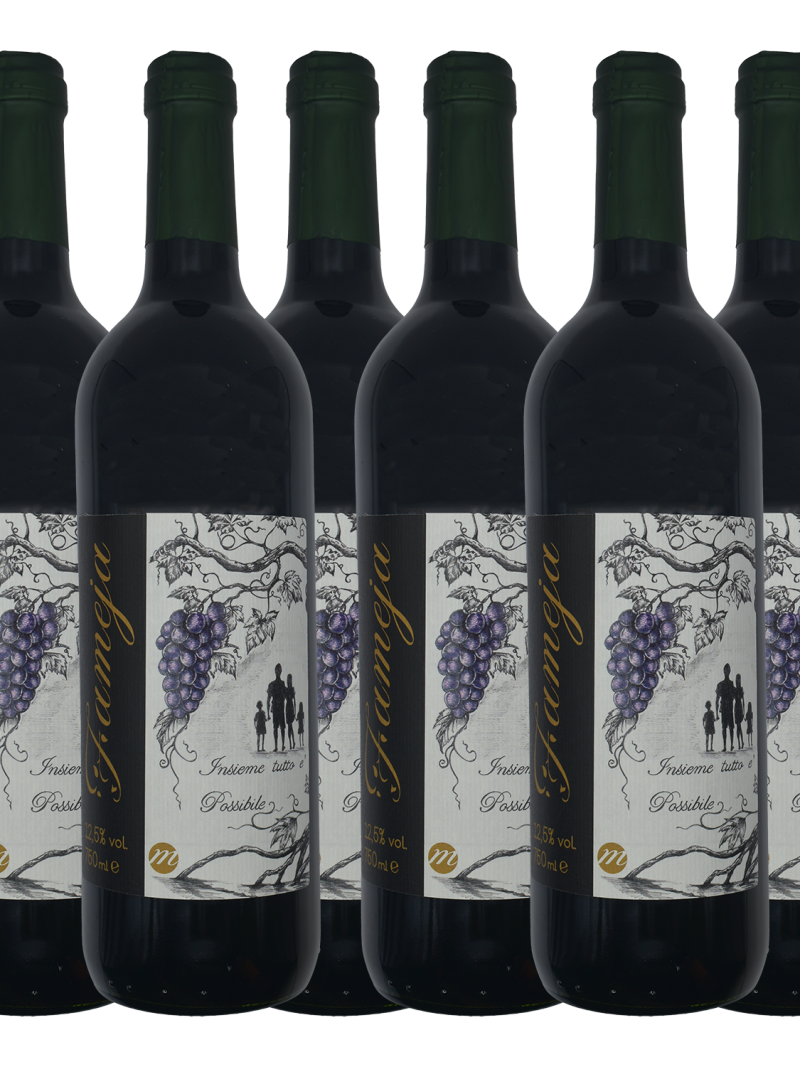 Box 6 bottiglie di Vino Naturale Veneto "Fameia" ottenuto da uvaggi Merlot