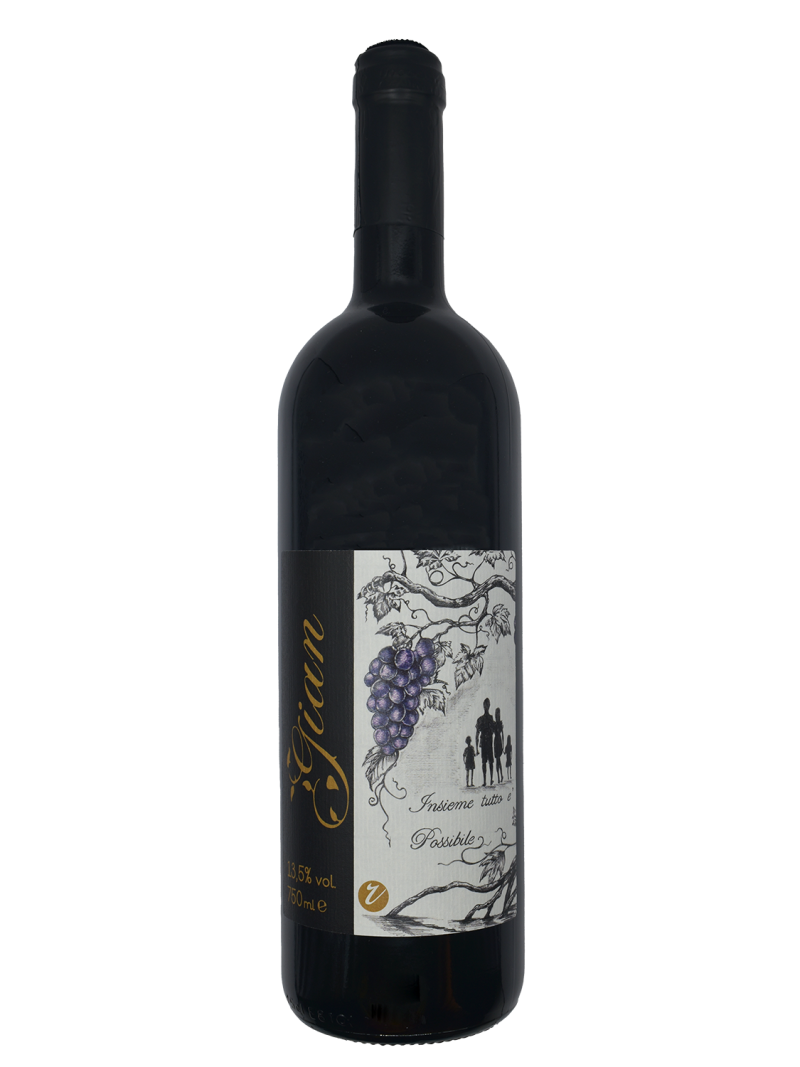 Vino Naturale Veneto Raboso "Gian"